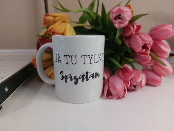 Ja tu tylko sprzątam