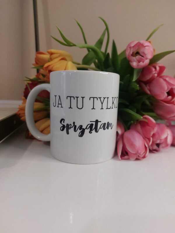 Ja tu tylko sprzątam - obrazek 2